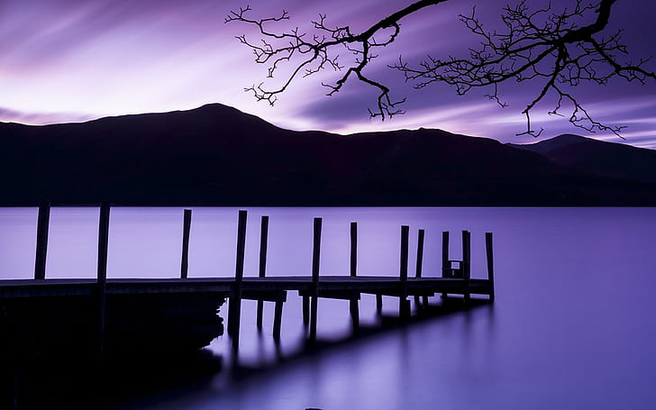 Purple Dusk, dusk, purple, HD wallpaper