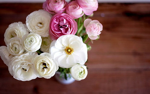 Ranunculus Bouquet Fiori Petali rosa bianchi Vaso, ranuncolo, bouquet, fiori, bianco, rosa, petali, vaso, Sfondo HD HD wallpaper