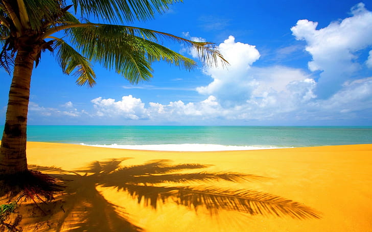 mar, palmeras, nubes, playa, Fondo de pantalla HD