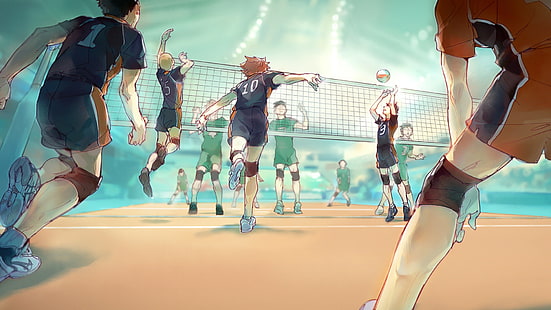 Shoyo Hinata illustration, Hinata Shouyou, Kageyama Tobio, volleyboll, anime, Sawamura Daichi, Nishinoya Yuu, Tanaka Ryūnosuke, Haikyuu !!, HD tapet HD wallpaper