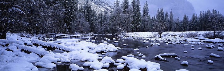 paysage, glace, forêt, neige, arbres, nature, Fond d'écran HD