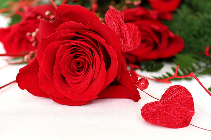 Rose rouge, fleurs, coeur, roses, rouge, Fond d'écran HD | Wallpaperbetter