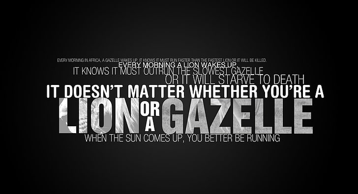 Typography, black background with text overlay, Artistic, Typography, Lion, Quote, gazelle, HD wallpaper