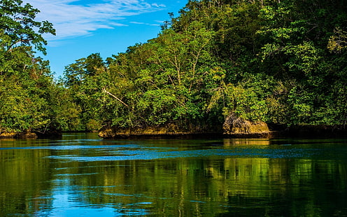 raja ampat isola foresta tropicale indonesia spiaggia natura mare paesaggio acqua verde fogliame, Sfondo HD HD wallpaper