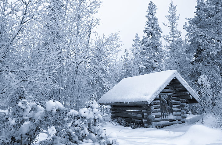 brown wooden shed, winter, forest, snow, trees, hut, Finland, HD wallpaper