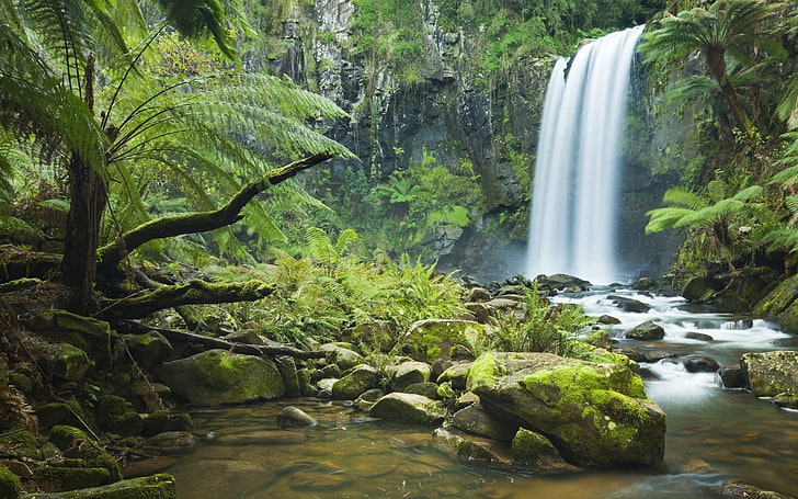 waterfalls and green trees, falls, stones, jungle, vegetation, moss, stream, HD wallpaper