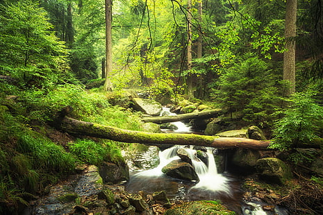 flod, skog, bäckar, vildmark, stenar, mossa, natur, HD tapet HD wallpaper