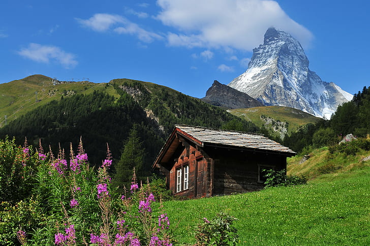photo of brown house barn near mountains surrounded with green pine trees during daytime, swiss, swiss, Swiss, landscape, photo, brown house, house barn, mountains, green pine, pine trees, daytime, switzerland, suisse, rubiano, perspective, peak, nikon, nieve, nature, montañas, matterhorn, landscapes, house, green, flowers, europe, europa, d300, colour, colorful, colores, color, alps, alpes, Zermatt, mountain, european Alps, summer, meadow, outdoors, scenics, HD wallpaper