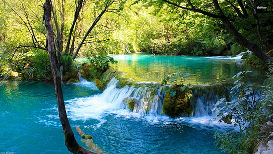 Bel endroit pour voir le parc national du lac Plitvice, Croatie, Fond d'écran HD HD wallpaper