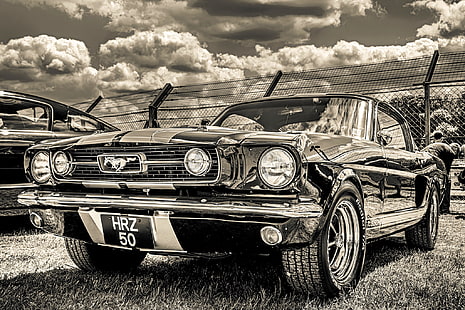 Ford Mustang coupe, Ford Mustang, 1965, bagian depan, GT350H, Wallpaper HD HD wallpaper