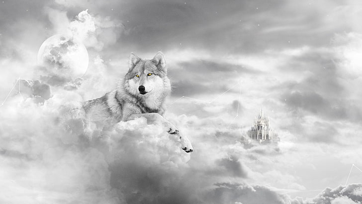 loup gris, animal, loup, artistique, noir et blanc, château, nuage, chien, fantaisie, lune, blanc, Fond d'écran HD
