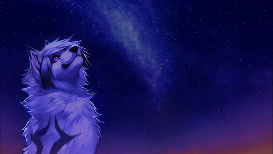 fondo de pantalla digital de lobo blanco, peludo, Anthro, falvie, noche, estrellas, Vía Láctea, Fondo de pantalla HD HD wallpaper