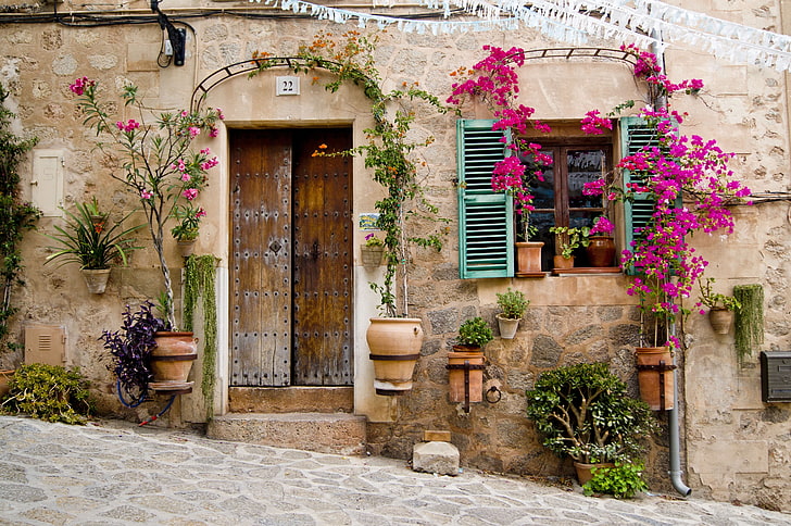 door, flowers, bougainvillea, flowerpot, plants, Provence, stone, HD wallpaper
