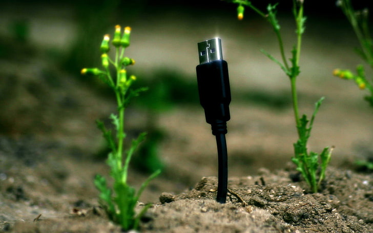 mini câble USB noir, USB, technologie, plantes, macro, humour, Fond d'écran HD