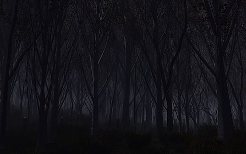 foresta durante la notte, foresta, alberi, sfondo, buio, Sfondo HD HD wallpaper