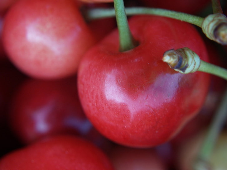 several cherries, Fruits, Cherry, Close-Up, HD wallpaper