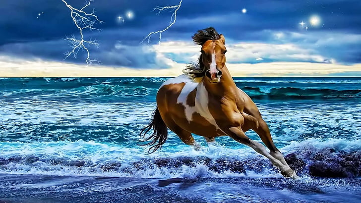 الحصان والجري والشاطئ، خلفية HD