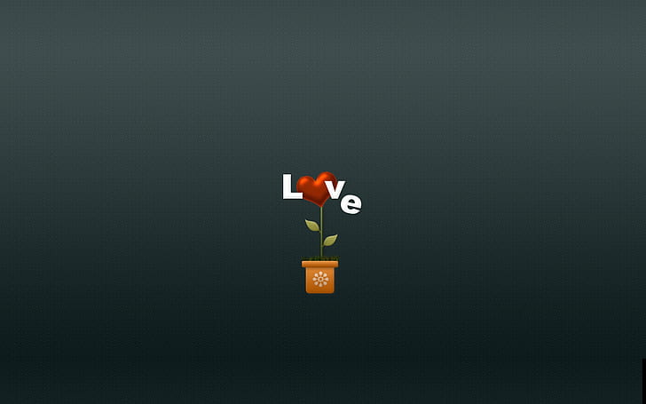 Love Flower, potted red heart love illustration, background, heart, red, poster, HD wallpaper
