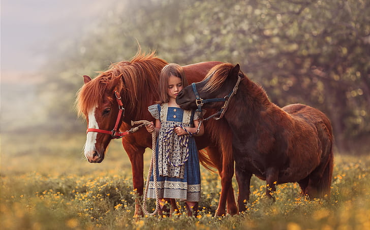 Photography, Child, Animal, Blur, Girl, Little Girl, Pony, HD wallpaper