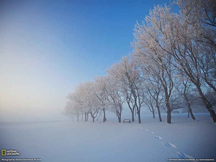 風景、ナショナルジオグラフィック、冬、自然、 HDデスクトップの壁紙