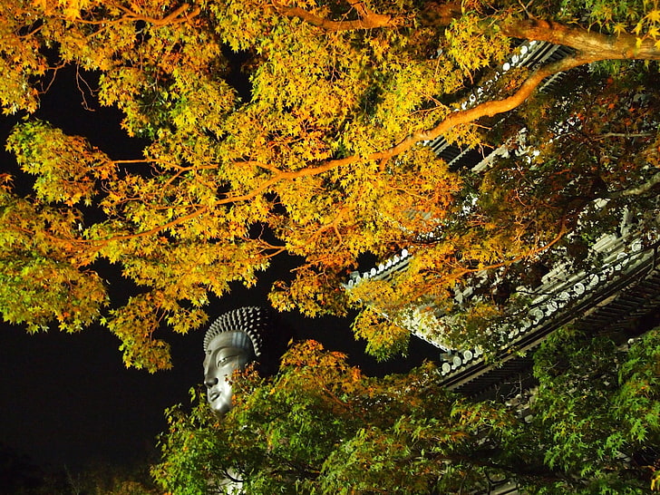 Храмы, Храм, Осень, Япония, Нагоя, Ночь, HD обои