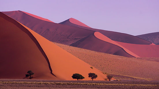 갈색 디저트, 풍경, 사막, 모래 언덕, 나미비아, HD 배경 화면 HD wallpaper