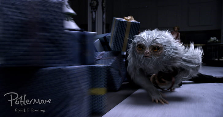 fantastic beasts and where to find them, 2016 movies, movies, creature, HD wallpaper
