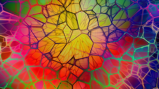multicolored abstract illustration, digital art, abstract, colorful, CGI, geometry, lines, 3D, circle, HD wallpaper HD wallpaper