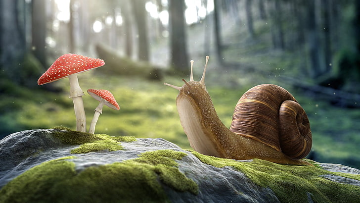 brown snail and red mushroom, snail and mushroom illustration, digital art, artwork, CGI, 3D, nature, stones, snail, mushroom, trees, forest, macro, worm's eye view, depth of field, moss, HD wallpaper