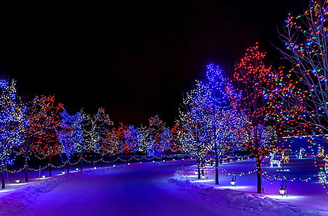 blandad färgsträng ljusparti, vinter, snö, dekoration, träd, natt, ljus, semester, gata, jul, gott nytt år, natur, god jul, dekorationer, HD tapet HD wallpaper