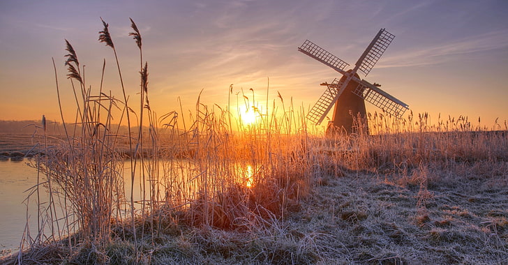 frost, the sun, River, mill, reed, HD wallpaper