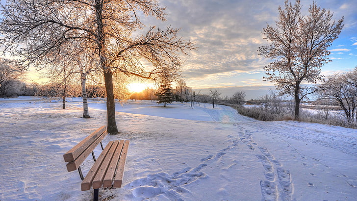 bench, winter, park, snow, cloud, footprints, dawn, sunrise, sun, morning, HD wallpaper