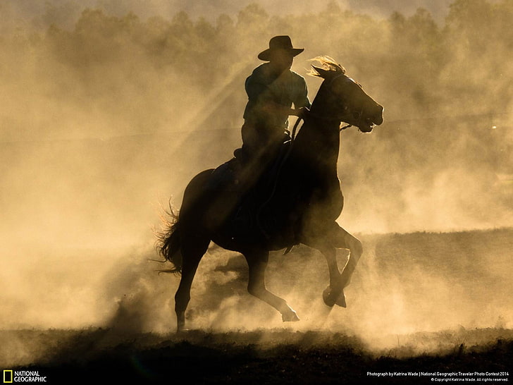 Dusty Dreams-National Geographic Wallpaper, cowboy riding horse illustration, HD wallpaper