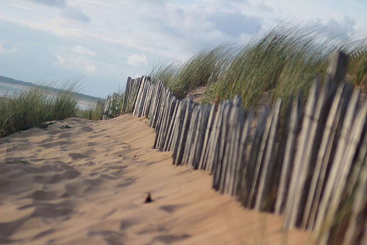 beach, dunes, fence, grass, sand, sand dunes, sea, sky, summer, HD wallpaper