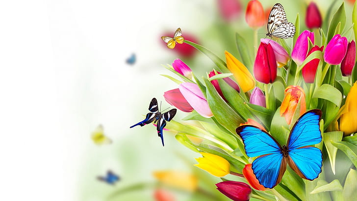 1366x768, mariposa, flores, Fondo de pantalla HD