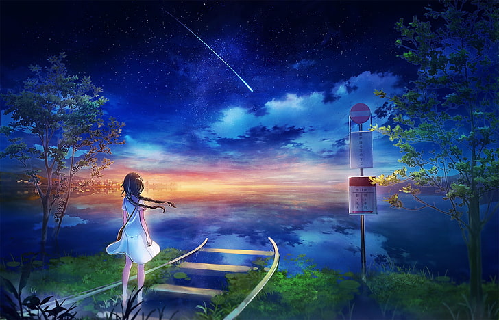 gadis anime, kereta api, bintang jatuh, pemandangan, langit, jalan buntu, rumput, fantasi, Anime, Wallpaper HD