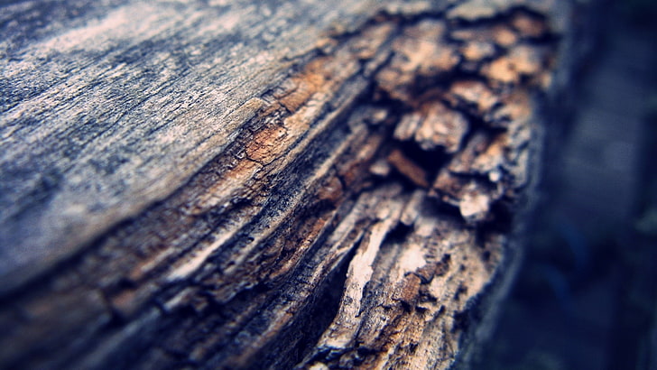 brown driftwood, bark, blur, dark, background, HD wallpaper