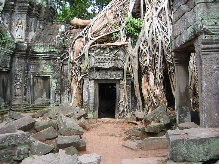 Angkor Wat Architecture Root and Stone Architecture Arte religiosa HD, architettura, rovine, religiosi, radici, Angkor Wat, Cambogia, Sfondo HD
