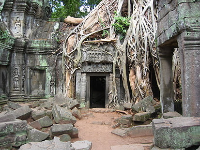 Angkor Wat Architecture Root and Stone Architecture Religious HD Art , architecture, ruins, Religious, roots, Angkor Wat, Cambodia, HD wallpaper HD wallpaper
