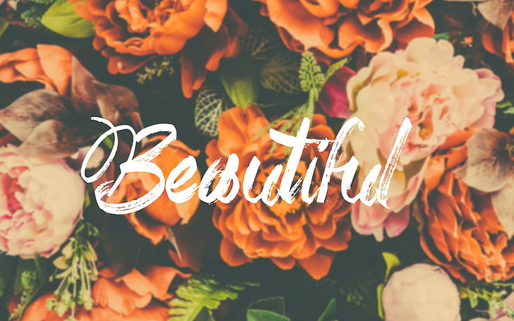 Beautiful flower-Text Artistic Design HD Wallpaper, HD wallpaper