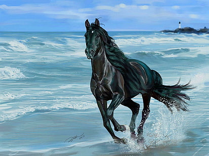 تشغيل الجمال ران ، رائع ، أسود ، جميل ، حصان ، حيوانات، خلفية HD HD wallpaper