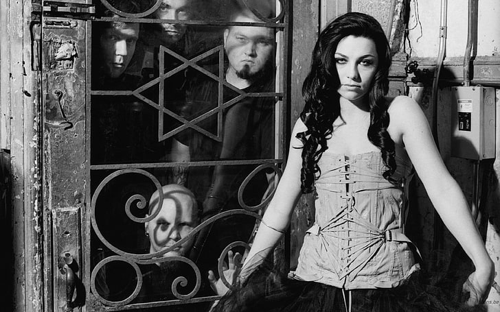Amy Lee, evanescence, band, girl, look, hair, HD tapet