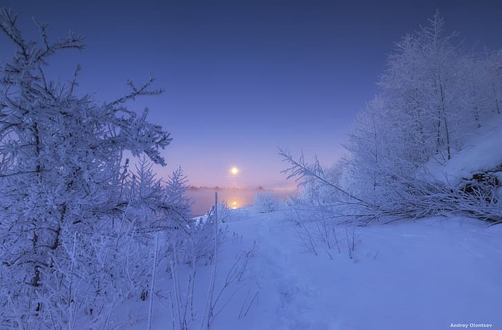 冬、雪、木々、川、夜明け、朝、雪、ロシア、霜、モスクワ州、Андрей Олонцев、Река Дубна、 HDデスクトップの壁紙