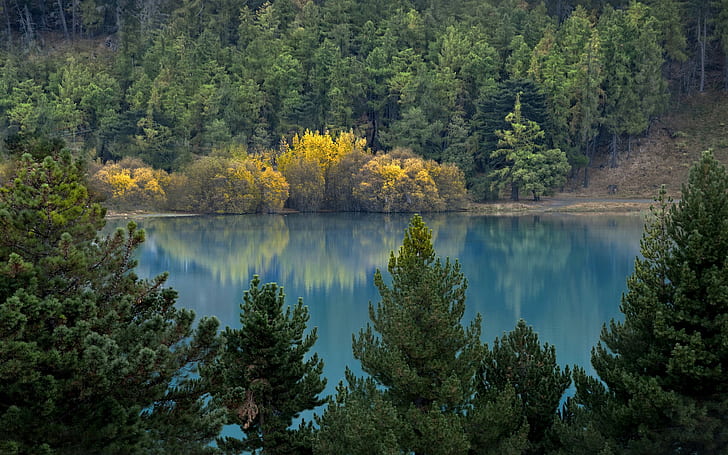 بحيرة في الغابة ، الغابة ، البحيرة ، الخريف، خلفية HD