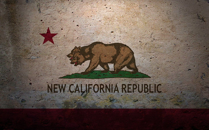 décoration murale en bois marron et blanc, Fallout, drapeau, Fallout: New Vegas, New California Republic, Fond d'écran HD