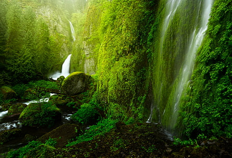 бушуваща вода пада върху планини, водопад, природа, гора, поток, вода, река, пейзаж, мъх, живопис, зелен цвят, на открито, свежест, красота В природата, скала - обект, дърво, HD тапет HD wallpaper