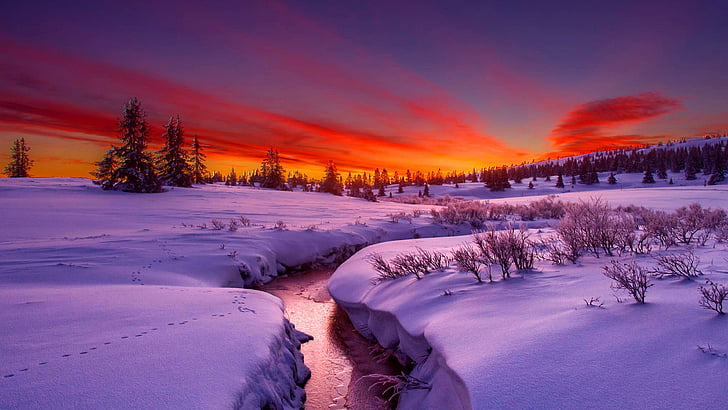 hiver, ciel, neige, ruisseau, gel, matin, lever du soleil, horizon, ruisseau, aube, arctique, toundra, Fond d'écran HD