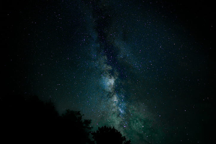 natur, träd, stjärnor, natthimmel, galax, HD tapet