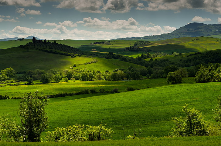 зелено поле тапет, зеленина, трева, облаци, дървета, хълмове, поле, Италия, ливади, Тоскана, HD тапет