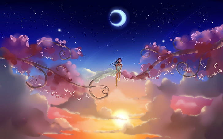 Girl on a flowering branch, black haired female anime character illustration, fantasy, 1920x1200, cloud, star, blossom, woman, moon, branch, HD wallpaper